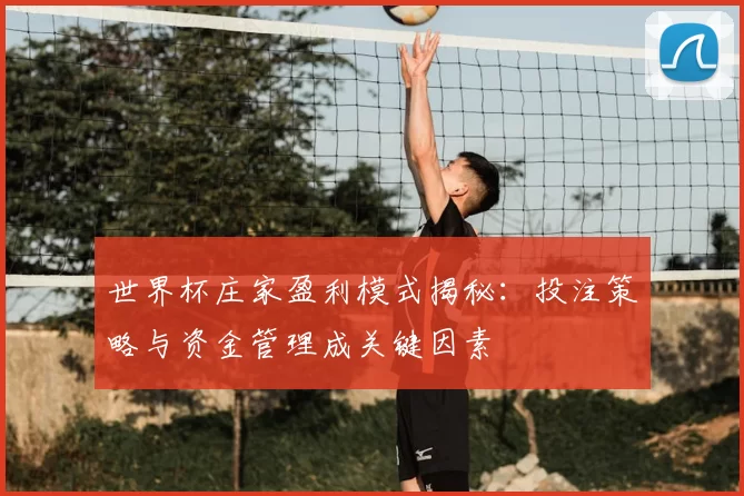 世界杯庄家盈利模式揭秘:投注策略与资金管理成关键因素