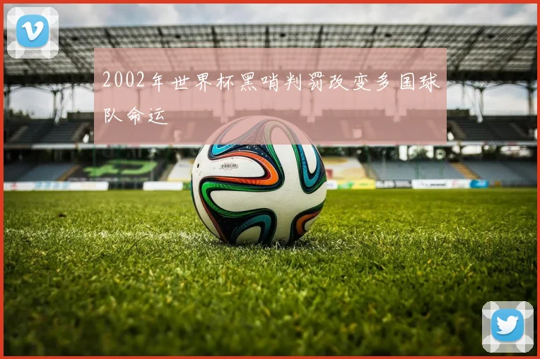 2002年世界杯黑哨判罚改变多国球队命运