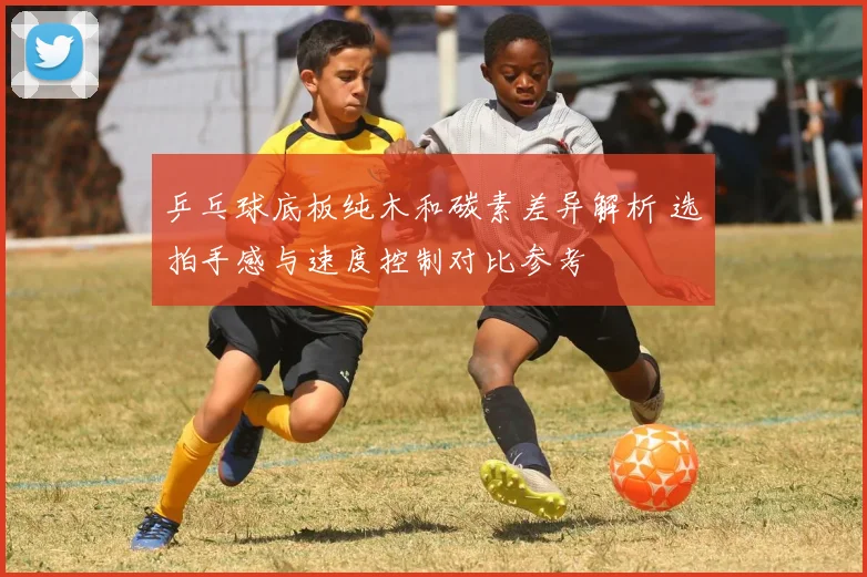 乒乓球底板纯木和碳素差异解析 选拍手感与速度控制对比参考