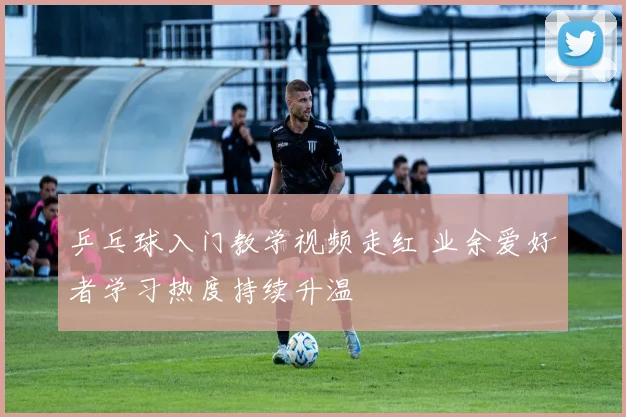 乒乓球入门教学视频走红 业余爱好者学习热度持续升温